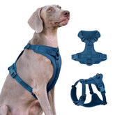 Arnés Sunraymascota con lycra flexible para perros, comodidad en cada paso.