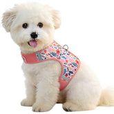 Arnés Sunraymascota para perro pequeño, rosa floral, ajuste seguro y cómodo.