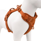 Sunraymascota arnés sin tirones con enganche frontal para paseos más controlados.