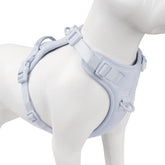 Sunraymascota arnés sin tirones con clip frontal para paseos tranquilos.