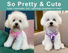 Arnés rosa y morado SuperBuddy, diseño floral para mascotas con estilo.