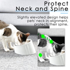 Super Design tazón apto para lavavajillas, limpieza rápida y sencilla.
