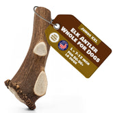 Superior Antler: astas de alce enteras XXL para masticación duradera.