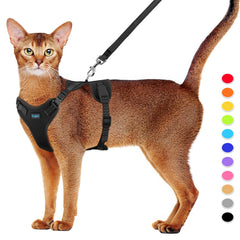 Supet arnés para gato con ajuste de 4 correas para un ajuste seguro.