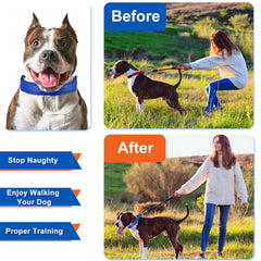 Supet collar ajuste de tamaño ajustable para perros de distintas tallas.