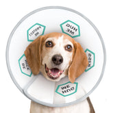 Supet collar cono para perro en recuperación, protege la herida y evita lamidas.