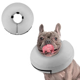 Collar inflable de Supet para perros, cómodo y seguro.