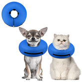 Collar inflable Supet para perros pequeños evita lamer la herida y facilita la recuperación.