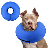 Supet cono inflable para perro en recuperación, protege la herida evitando lamidos.
