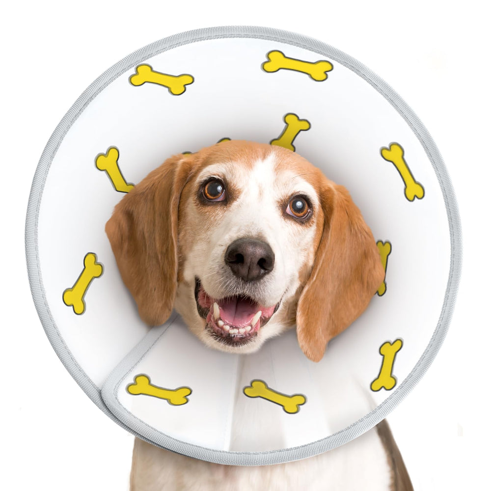 Supet cono para perro XL en uso postoperatorio para evitar lamidos