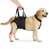 Supet Sling para perro grande, soporte de piernas traseras para mayor estabilidad.
