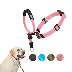 Collar de cabeza SVD.PET rosa en perro durante paseo, mejora el control sin tirones