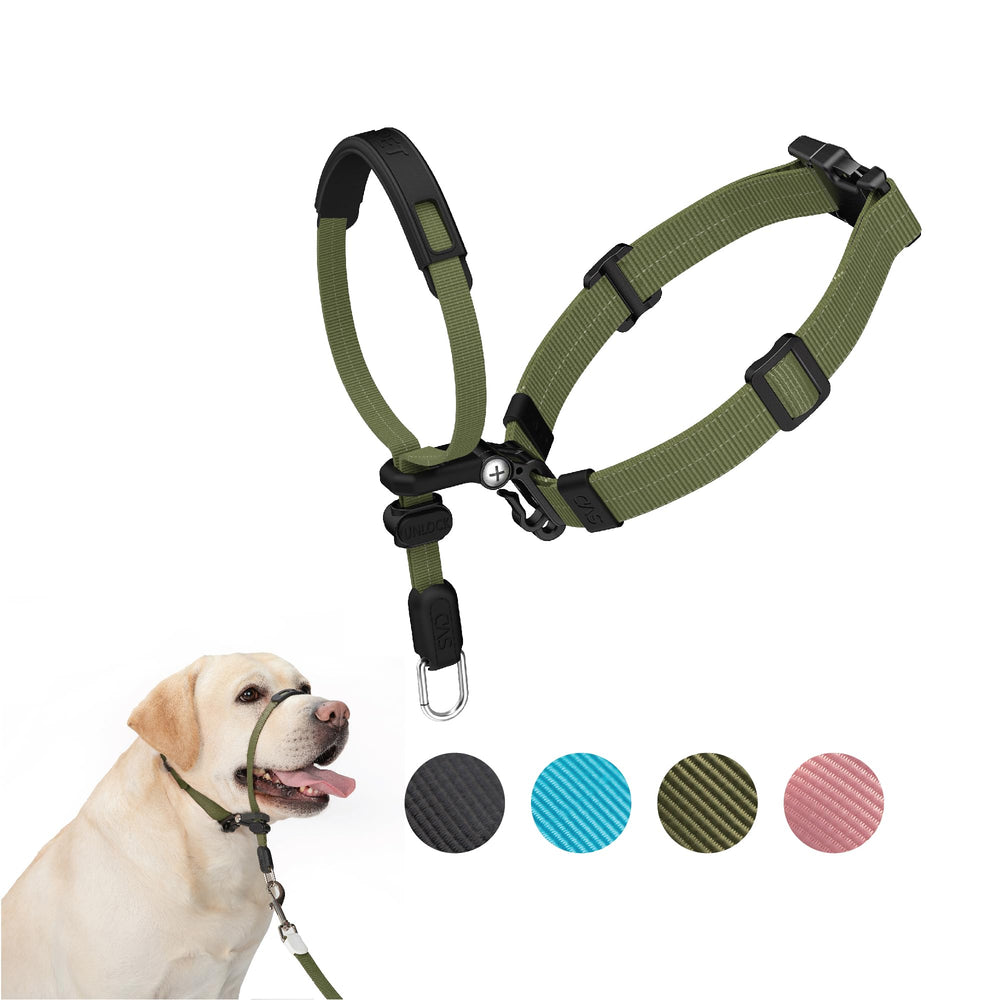 Collar frontal SVD.PET sin tirones, vista frontal para paseos tranquilos.