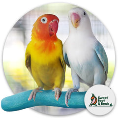 Sweet Feet y Beak superficie lisa para pies delicados en percha pumice