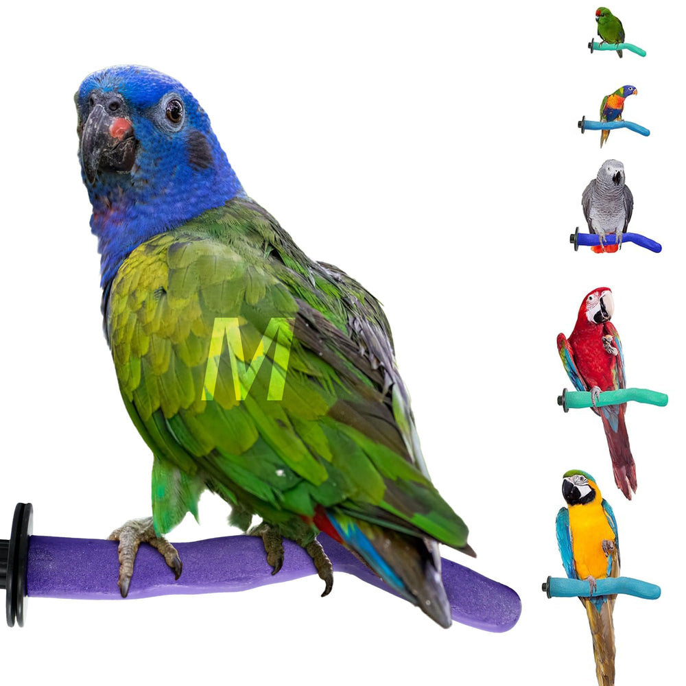 Sweet Feet y Beak percha pumice segura 1,25 x 12 pulgadas para aves medianas