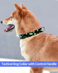 Collar SXboxing verde extraterrestre con anillo en D duradero.