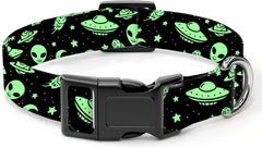 Collar SXboxing para perro verde extraterrestre: confort y durabilidad para paseos.