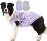 SyChien camiseta enfriante para perro en rayon, textura suave y secado rápido para días calurosos.