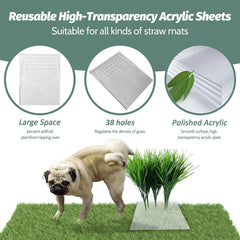 Sysmashing hierba artificial para perros, fácil de limpiar con manguera.