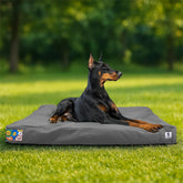 Sytopia cama para perro exterior indestructible de 42 pulgadas, ideal para patios.