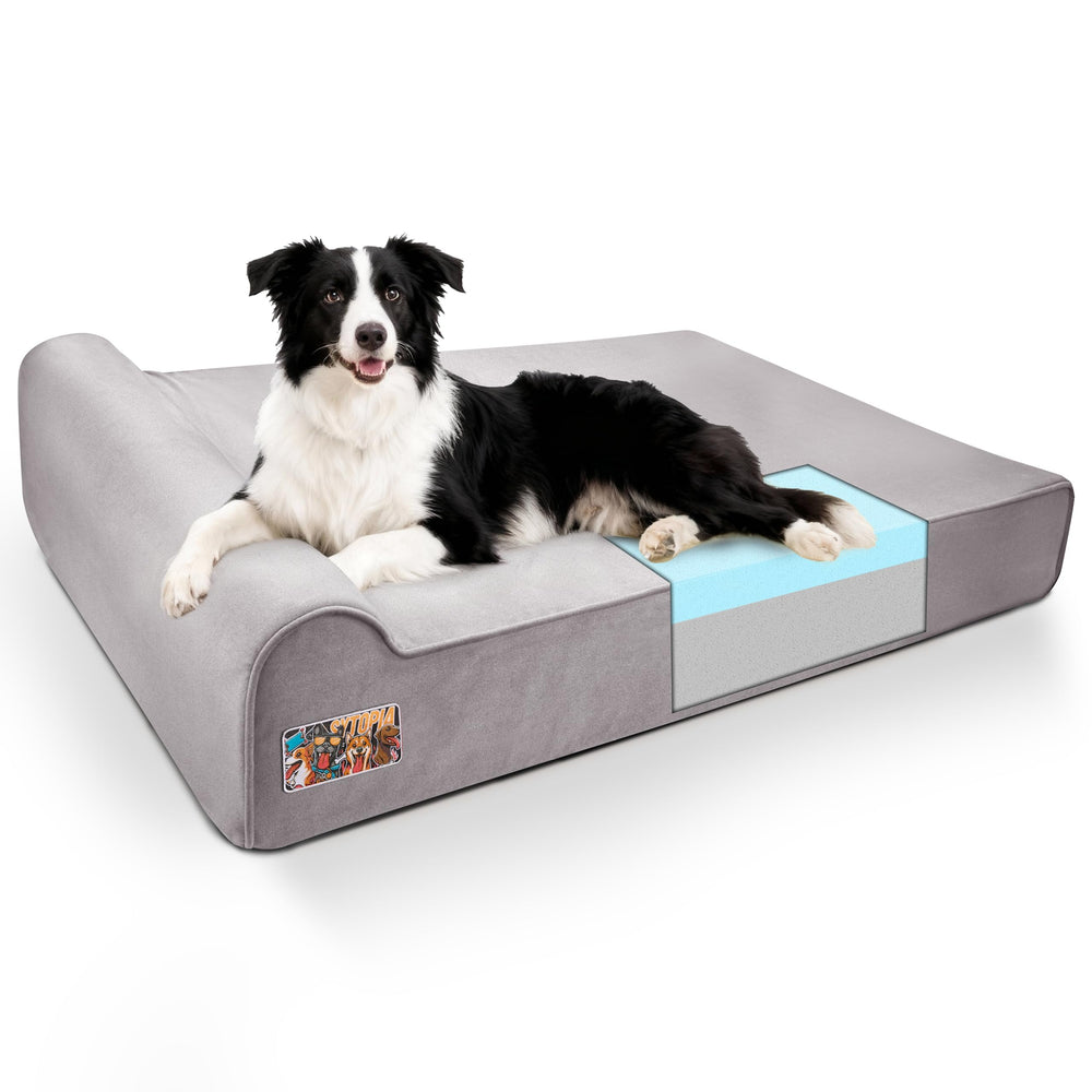 Sytopia XL cama ortopédica para perros con espuma de alta densidad para soporte.