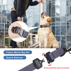 Tacwild collar con anillo D para sujetar la correa con seguridad.