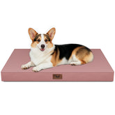 Tail Stories cama para perro exterior ortopédica ofrece reposo al aire libre.