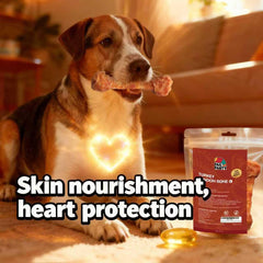 TailParty taurina ayuda a un posible apoyo cardiovascular en perros