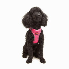 Tailpetz arnés perro XS rosa neón, paso de entrada cómodo para perros pequeños.