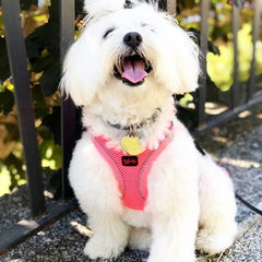 Tailpetz arnés perro XS rosa neón, tejido de malla ligero para verano.
