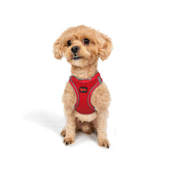 Tailpetz arnés para perro XXS, paso de entrada fácil para ponérselo rápidamente.