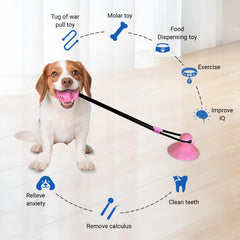 Tailwag bola interactiva tira afloja, fomenta actividad física y vínculo durante las sesiones.