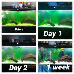 Tararium claridad de agua en acuario con luz 7W para agua más transparente.