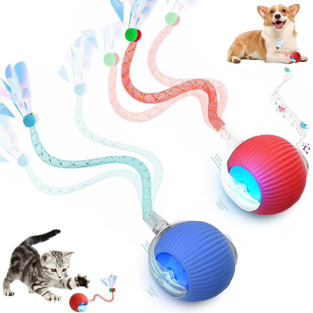 Tchernt Velocidad 2.0: pelota interactiva con cola para gatos, estimula instinto de caza y juego.