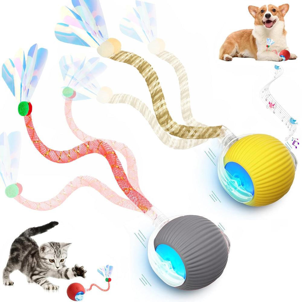 Tchernt velocidad 2.0 con cola interactiva para gatos en interiores, estimula la caza.
