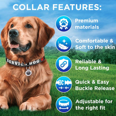 TECEUM collar nylon suave y resistente para mascotas