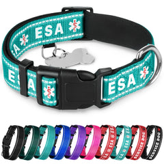Collar TECEUM reflectivo en color azul verdoso ESA XS para mayor visibilidad nocturna