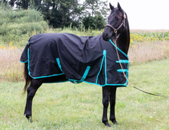 Tech Equestrian cierre frontal ajustable para un ajuste seguro