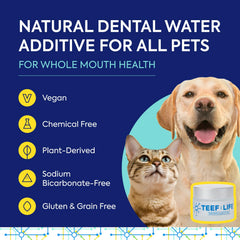Protektin42K mezclado en agua para mascotas mejora la rutina dental.