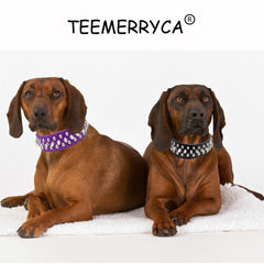 Pelota parlante incluida para jugar con el collar TEEMERRYCA.
