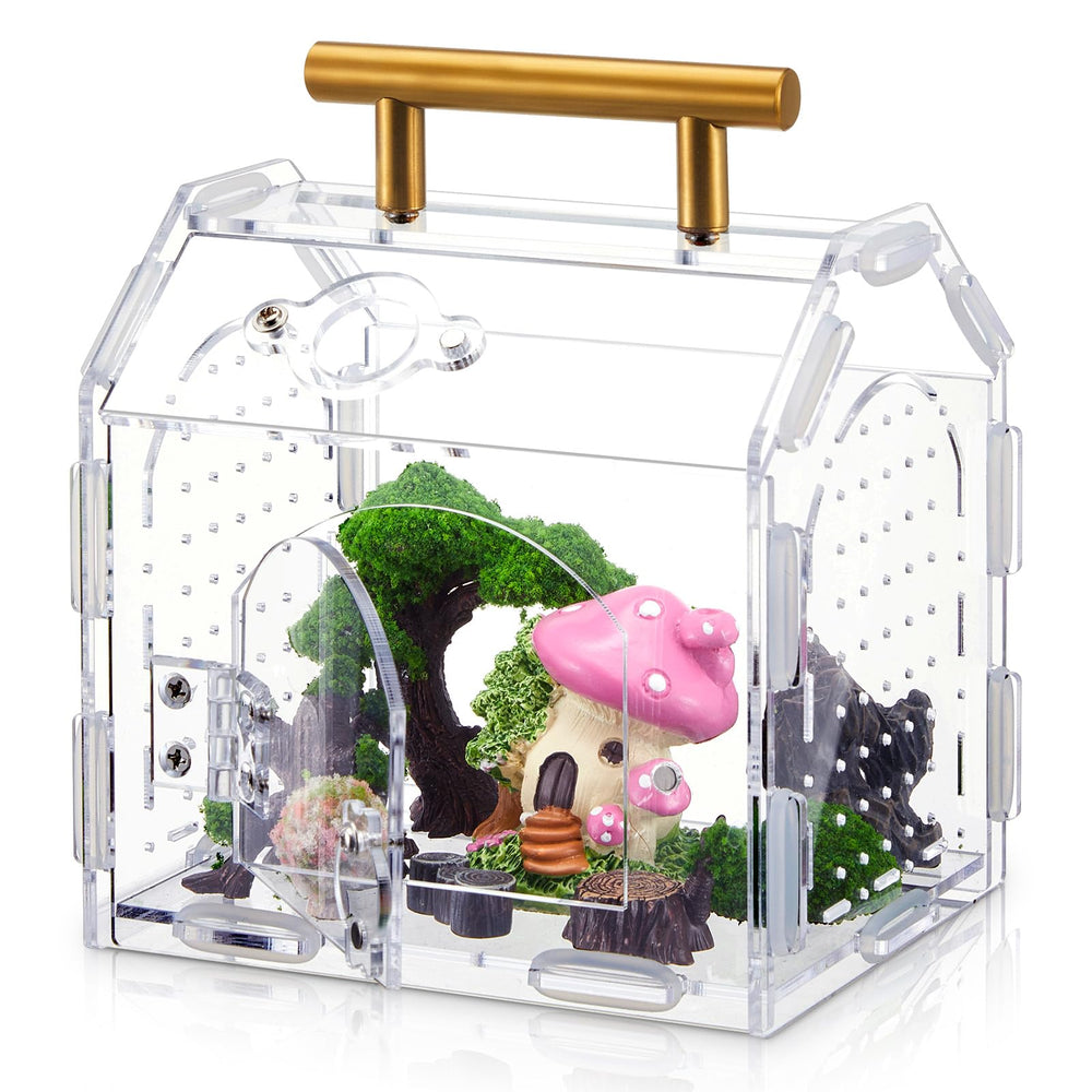 Teenyyou jaula acrilica para tarantulas con vista frontal para observar comportamiento.