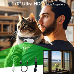 TEFIRE clip-design dog collar camera stays securely attached during active play.