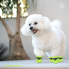 TEOZZO Botas para perros con forro suave, interior cálido y cómodo.