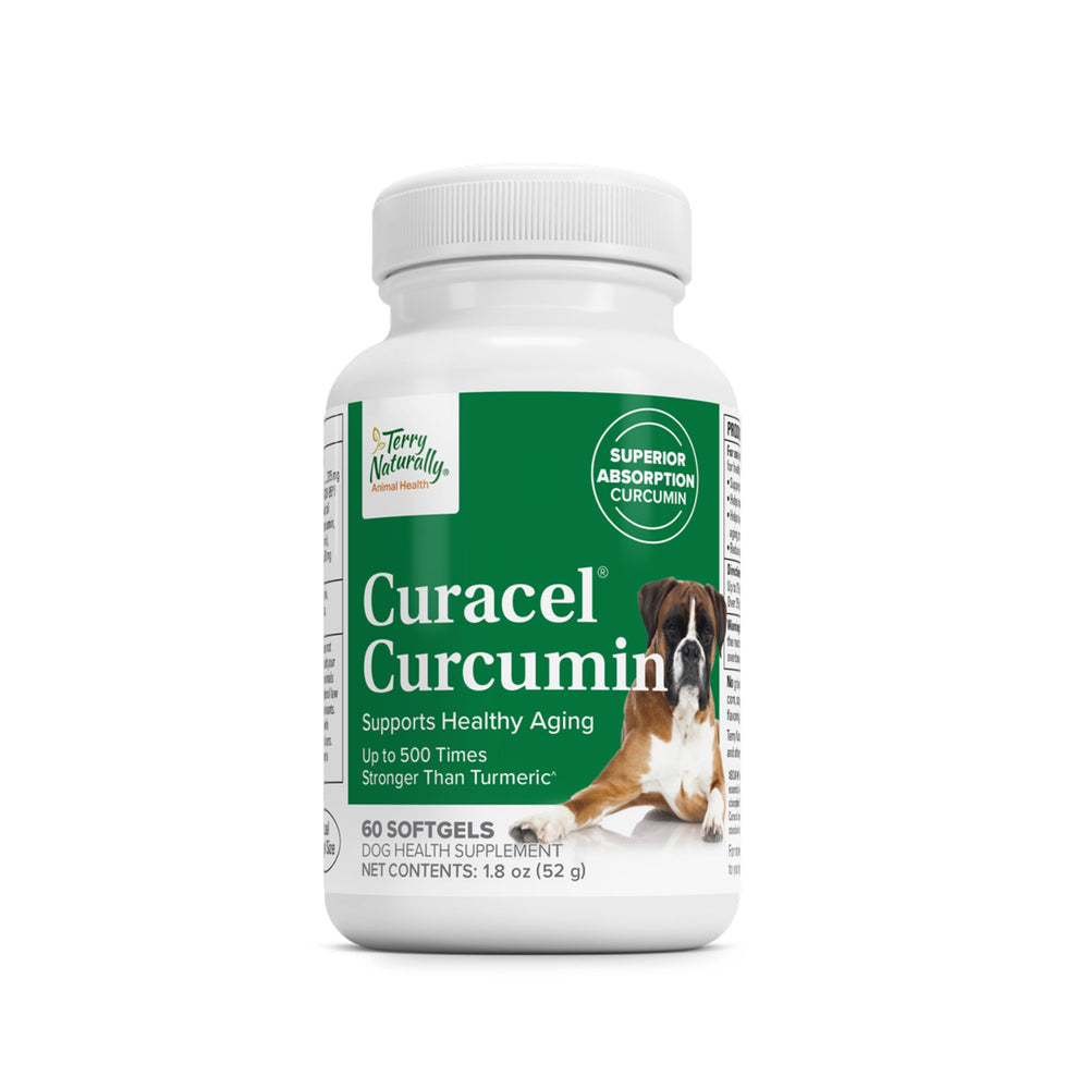 Terry Naturally Curacel Curcumin para perros: botella para uso diario
