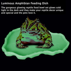 Tfwadmx diseño irregular plato reptil seguro sin esquinas para mascotas
