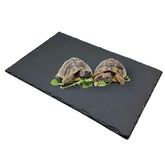 Tfwadmx plataforma-reptil-descanso con roca natural para baño seguro.