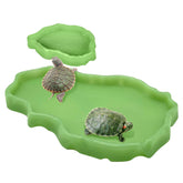 Tfwadmx plato alimento reptil luminoso para dragon barbudo atraer su interes
