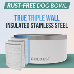 The Coldest Water tazón antideslizante con base estable, reduce derrames.