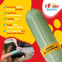 The Doggy Dentists cajas almacenamiento para guardar cepillos y mantener la higiene