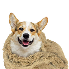 The Dog's Blanket protege muebles y camas de arañazos.